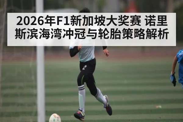 2026年F1新加坡大奖赛 诺里斯滨海湾冲冠与轮胎策略解析（kaiyun）